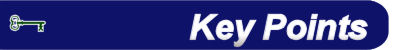 Lean-Terms-Key-Points