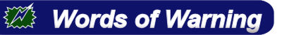 Lean-Terms-Words-of-Warning