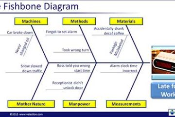 Cause and Effect Diagram