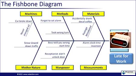 Cause and Effect Diagram