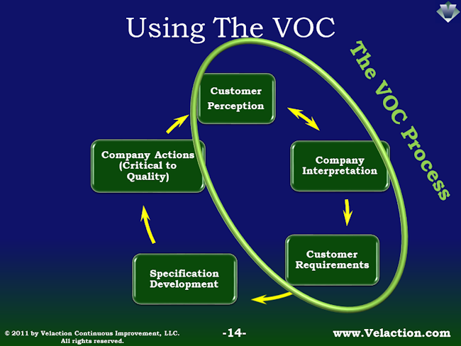 Voice of the Customer Cycle