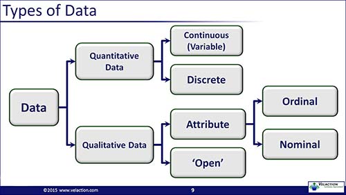 Nominal Data